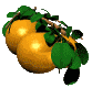 Emoticon Free frutas 139279
