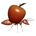 Emoticon Free frutas 139140