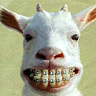 Kostenloses Emoticon Humor 152362