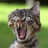 Kostenloses Emoticon Humor 152308