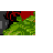 Emoticon Free objetos 156786
