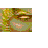 Emoticon Free objetos 157160