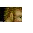 Emoticon Free objetos 156822