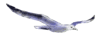 Kostenloses Emoticon Vogel 142046