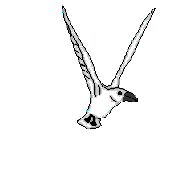Kostenloses Emoticon Vogel 142041