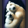 Emoticon Free urso 142123