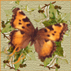Emoticon Free borboleta 155703