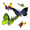 Emoticon Free borboleta 155700