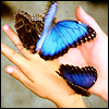 Emoticon Free borboleta 155707