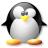 Kostenlose Smiley Pinguine n184316