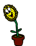 Kostenlose Smiley Pflanze n184859