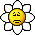 Smiley gratuitamente piante 132892