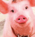 Emoticon Free nome do menino 121893