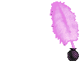 Emoticon Free nome do menino 121726