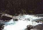 Kostenloses Emoticon Wissenschaft 101851